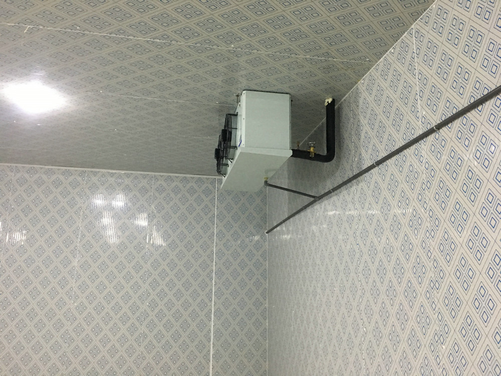 保鲜冷库 (5)